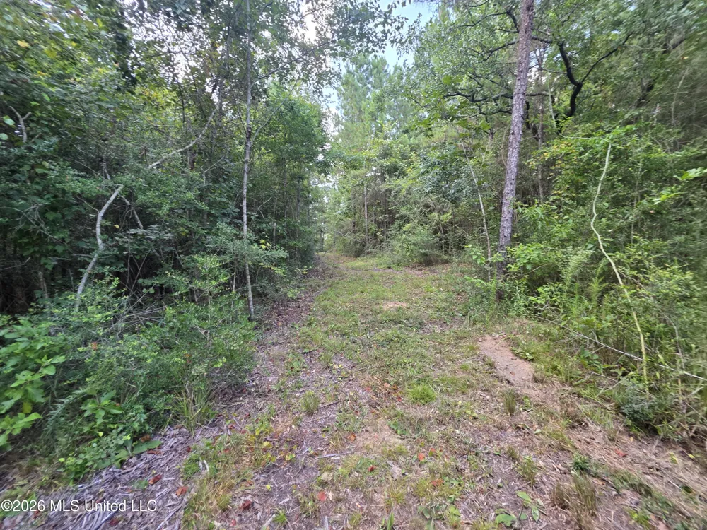 Mount Carmel Road Prentiss, MS 39474