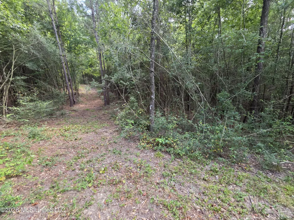 Mount Carmel Road Prentiss, MS 39474