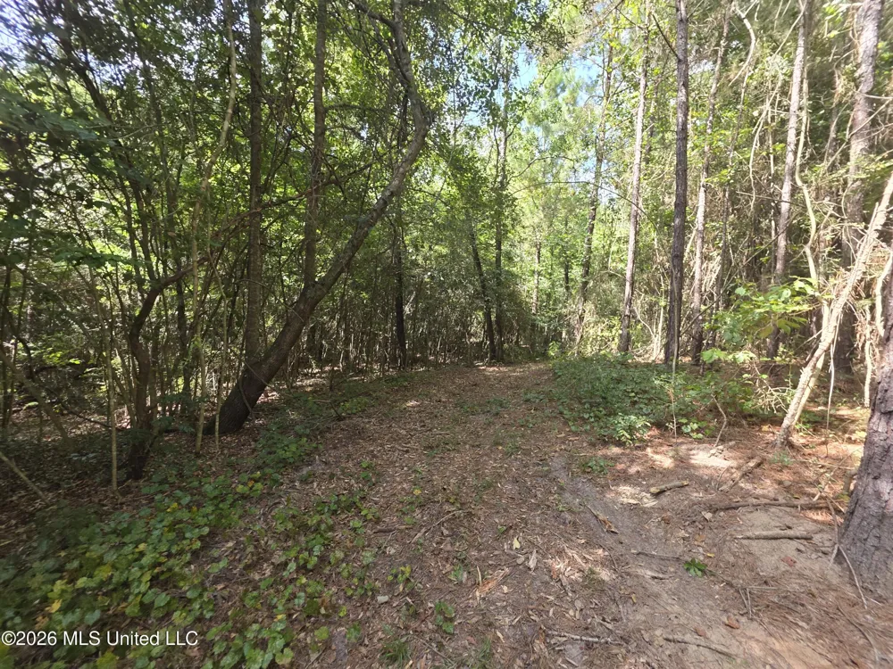 Mount Carmel Road Prentiss, MS 39474