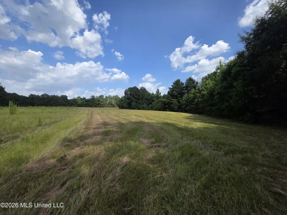 Mount Carmel Road Prentiss, MS 39474