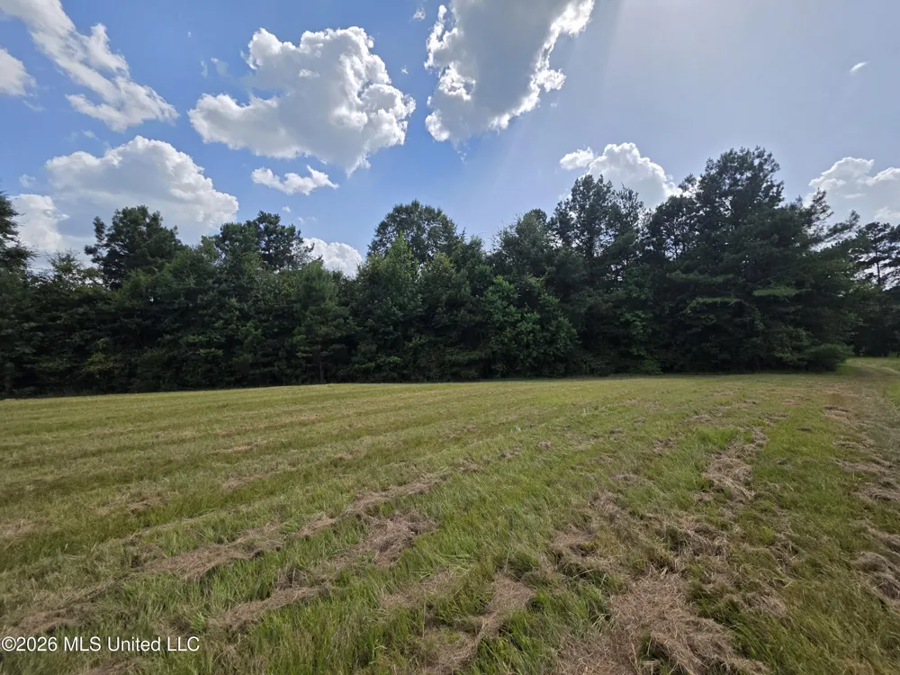 Mount Carmel Road Prentiss, MS 39474