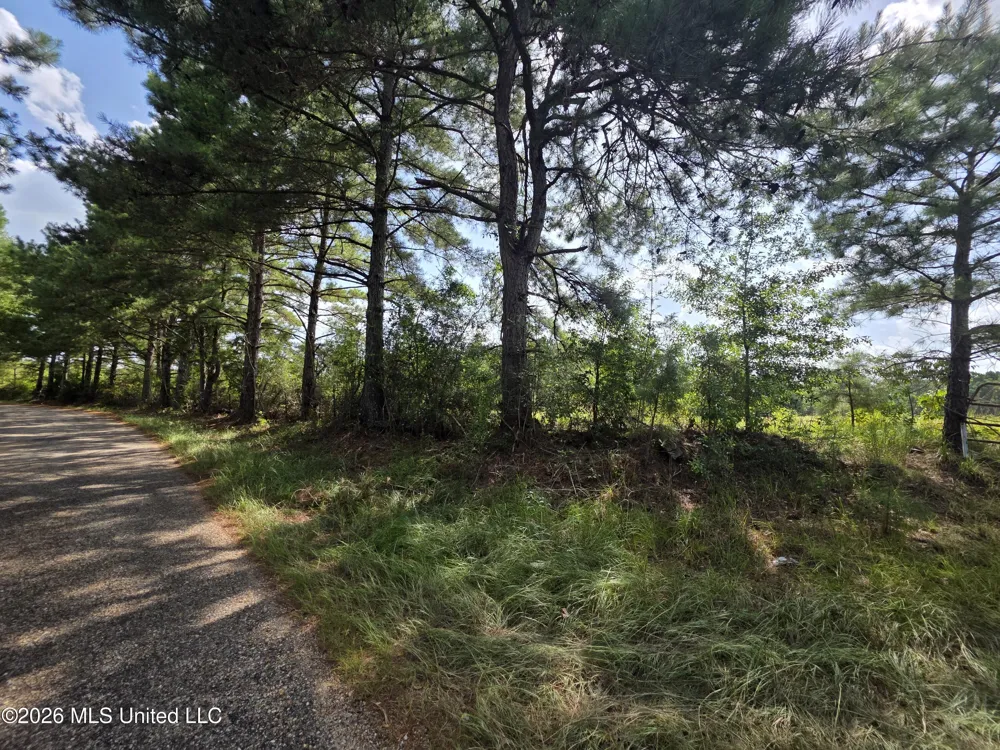 Mount Carmel Road Prentiss, MS 39474