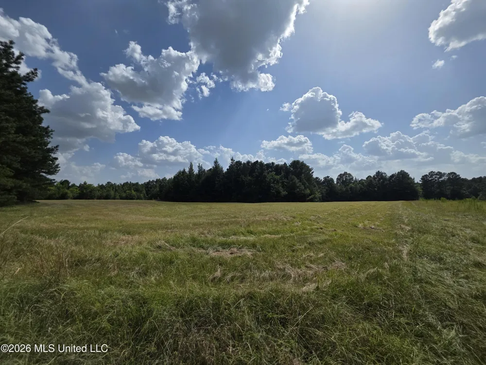 Mount Carmel Road Prentiss, MS 39474