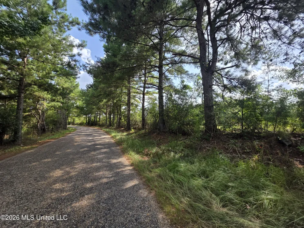 Mount Carmel Road Prentiss, MS 39474