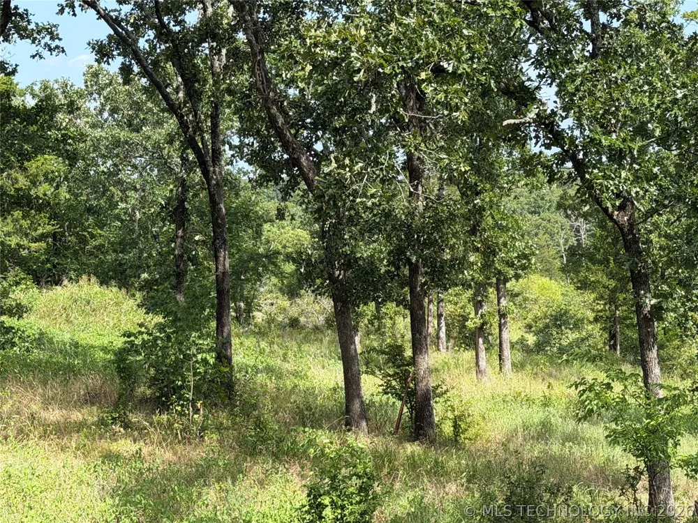 Double Springs Road McAlester, OK 74501