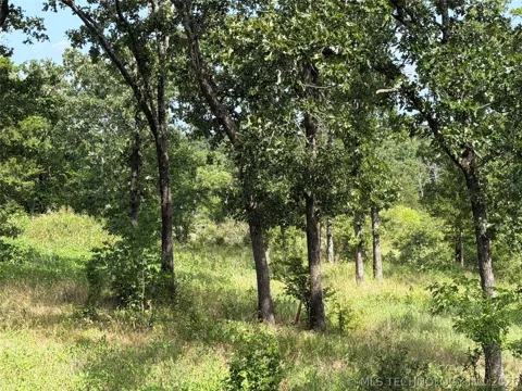 Double Springs Road