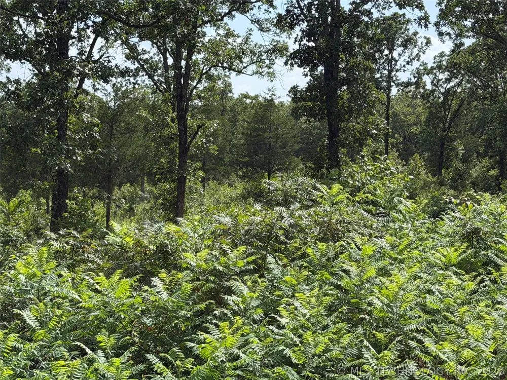 Double Springs Road McAlester, OK 74501