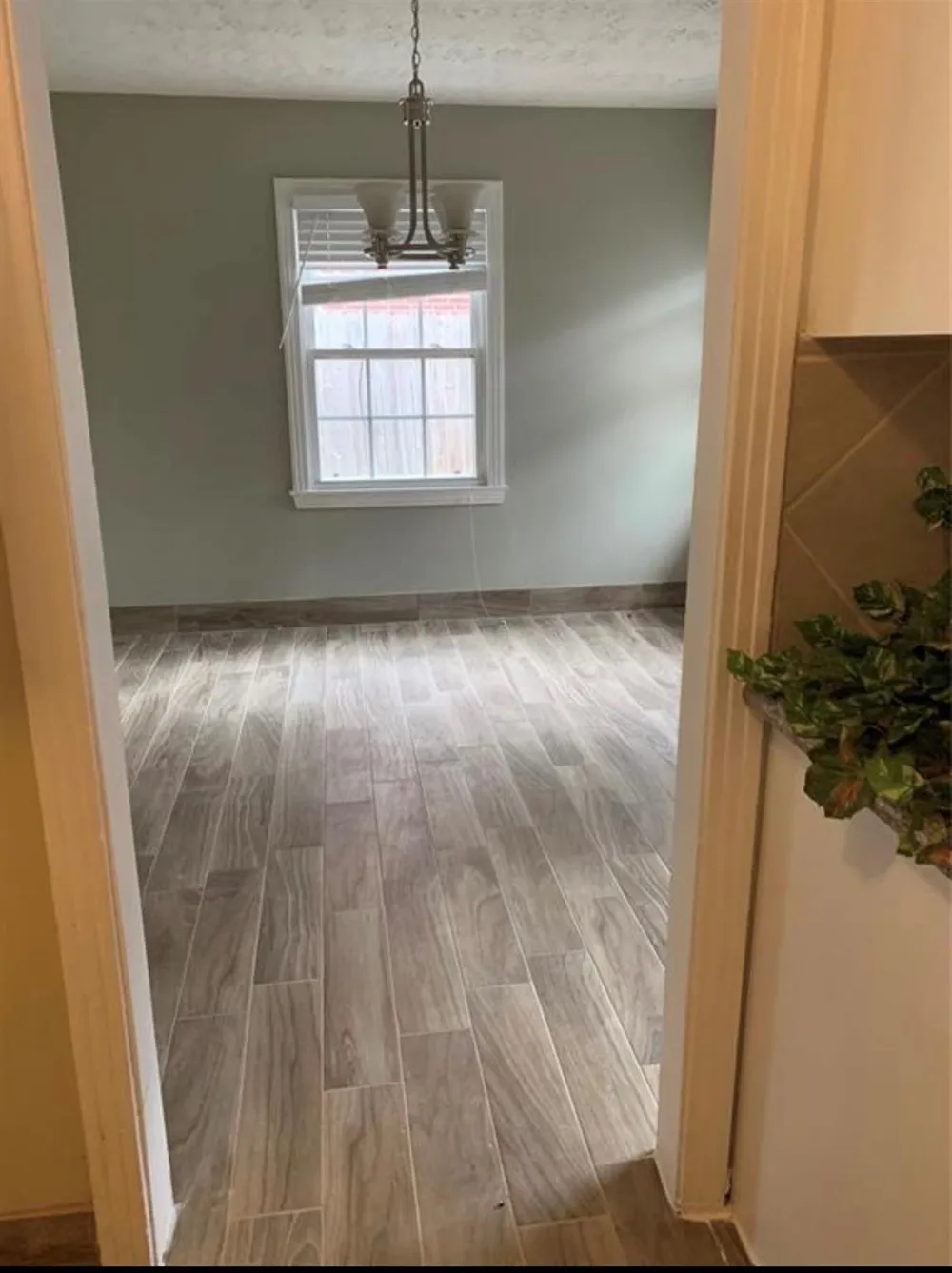 6203 S Rice Avenue Bellaire, TX 77401