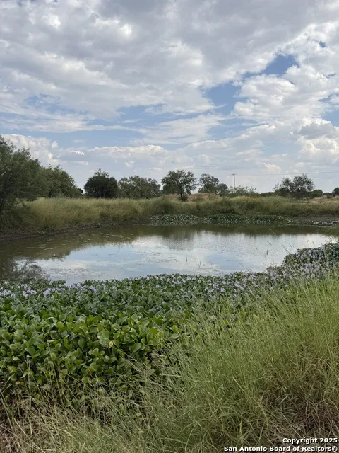277 Justo Garza Carrizo Springs, TX 78834