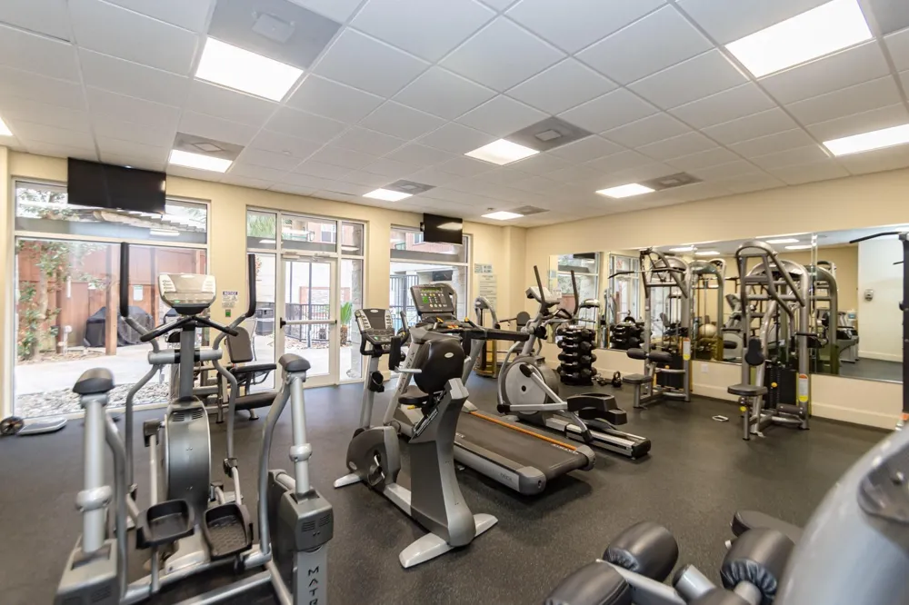 300 St Joseph Parkway #317 Houston, TX 77002