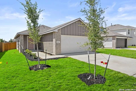 15427 Mint Patch Meadow