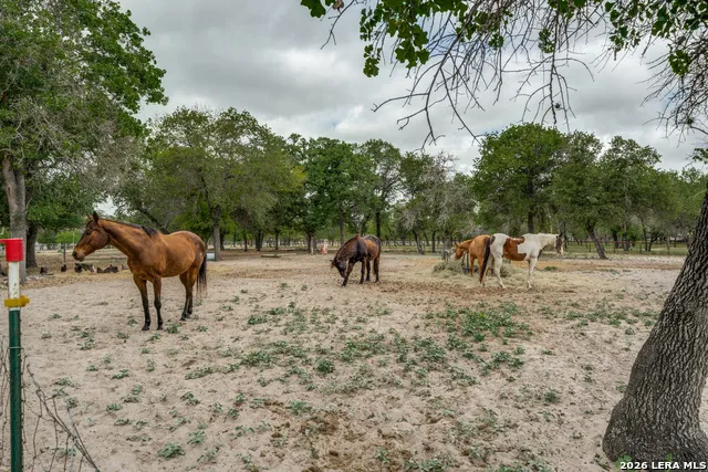 1855 BURR OAK LN Adkins, TX 78101