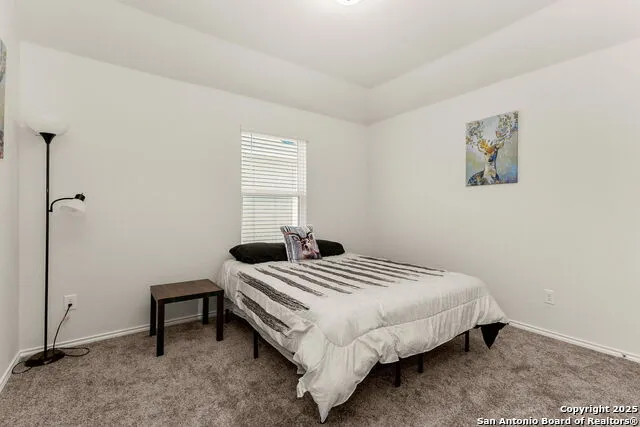 4012 Wild Bloom Seguin, TX 78155