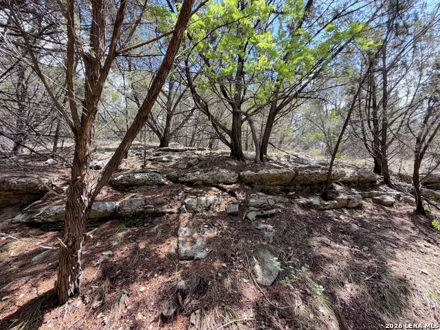 1758 Trail Pass Canyon Lake, TX 78133