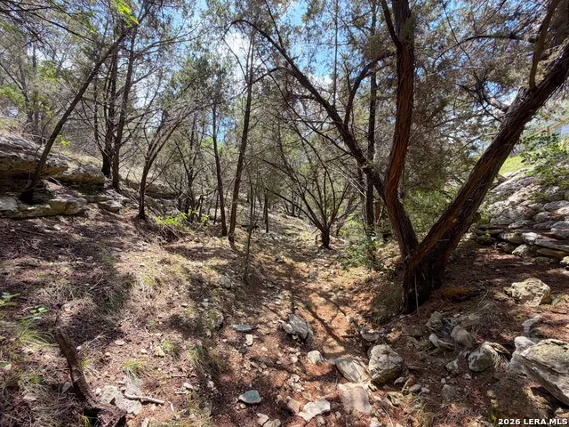 1758 Trail Pass Canyon Lake, TX 78133