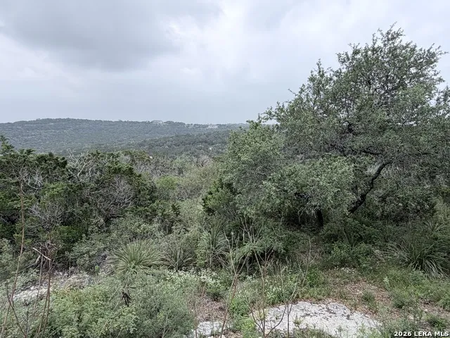 180 County Road 2750 Mico, TX 78056