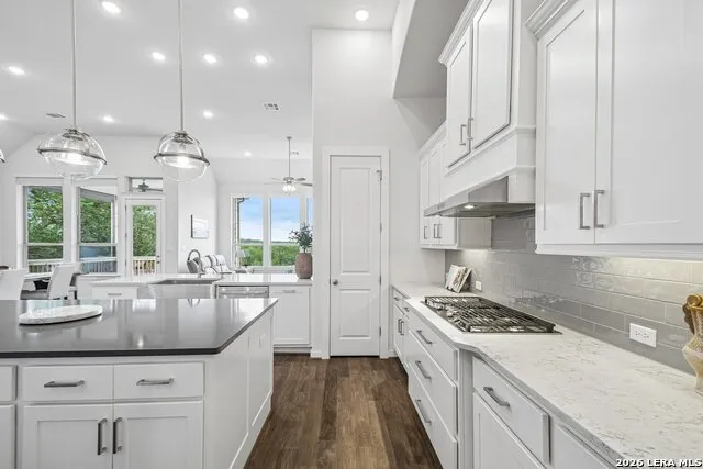 505 COPPER SAGE DR San Marcos, TX 78666