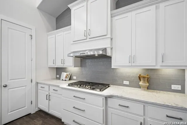 505 COPPER SAGE DR San Marcos, TX 78666