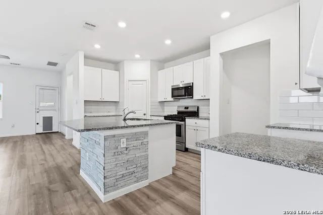 13019 Rosemary St Hedwig, TX 78152
