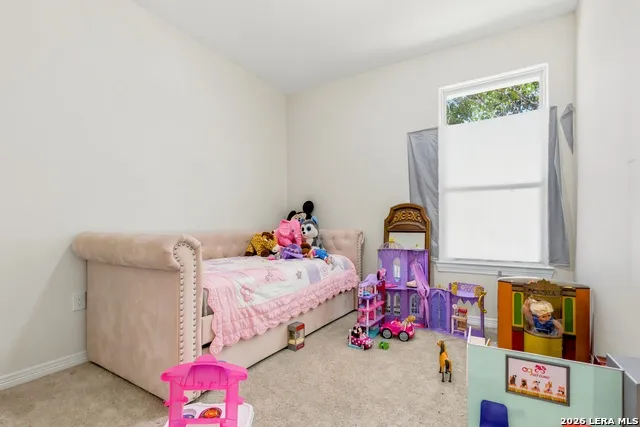 24682 WICKLOW ST Hempstead, TX 77445