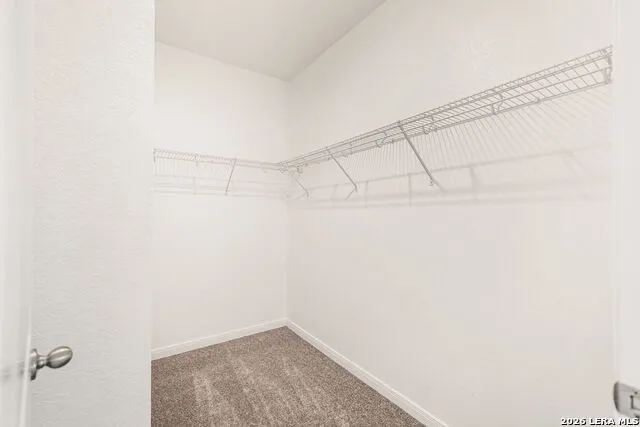 13536 LUNAR LGT St Hedwig, TX 78152