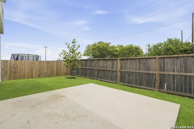 1943 Olivia Drive New Braunfels, TX 78130