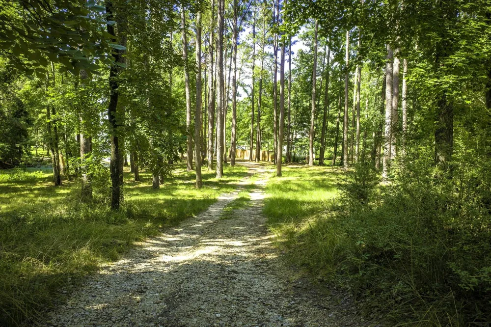 Pine Circle Trinity, TX 75862