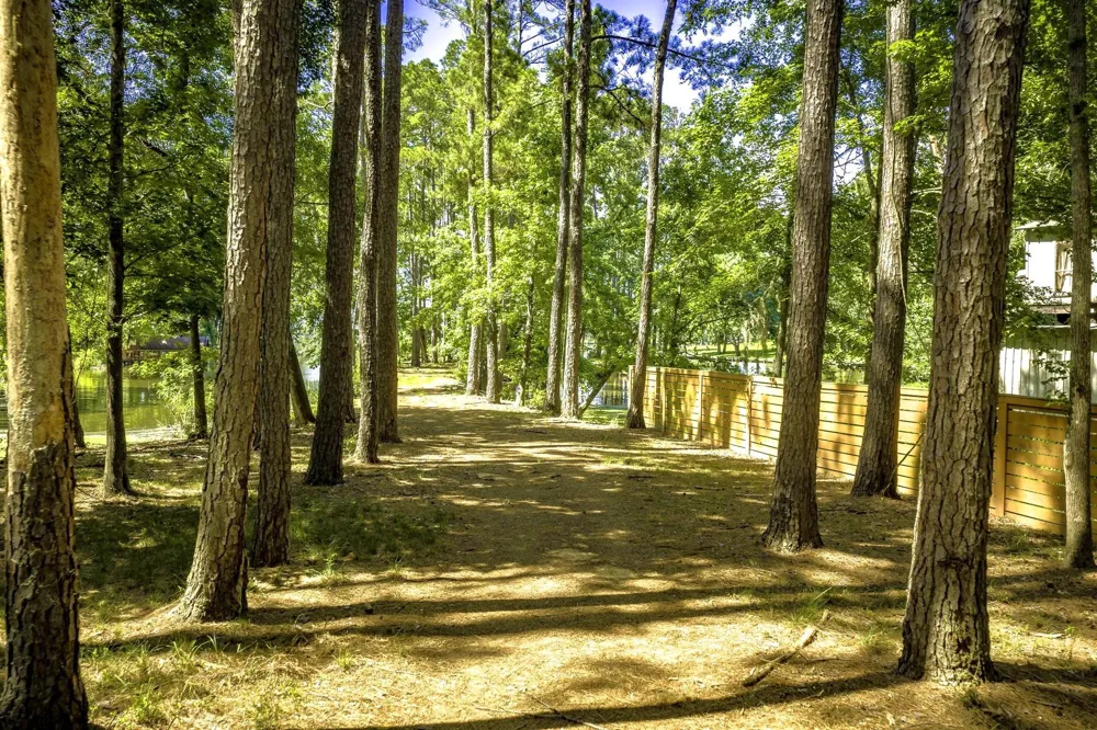 Pine Circle Trinity, TX 75862