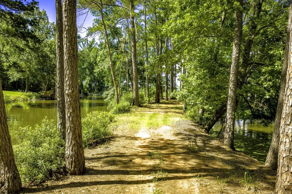 Pine Circle Trinity, TX 75862
