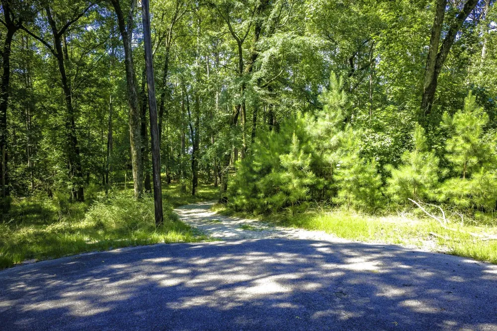 Pine Circle Trinity, TX 75862