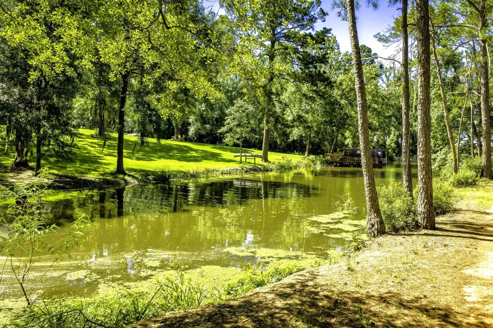 Pine Circle Trinity, TX 75862