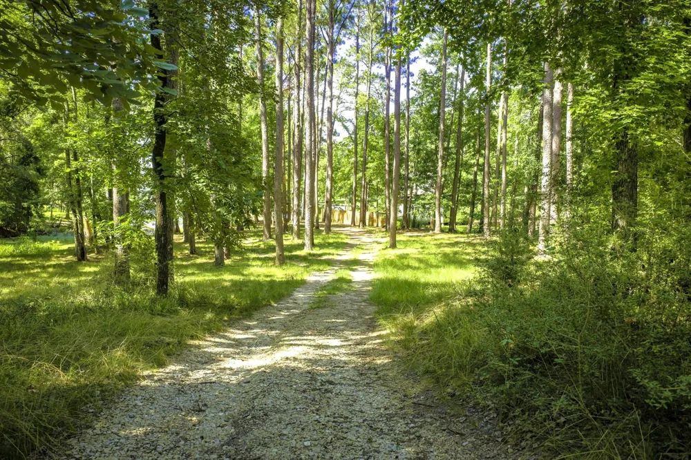 Pine Circle Trinity, TX 75862