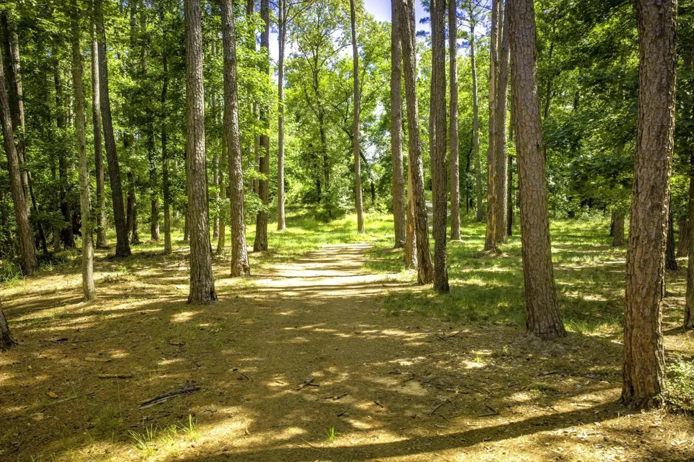 Pine Circle Trinity, TX 75862