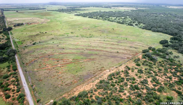 56.9 ACRES County Road 136 Floresville, TX 78114