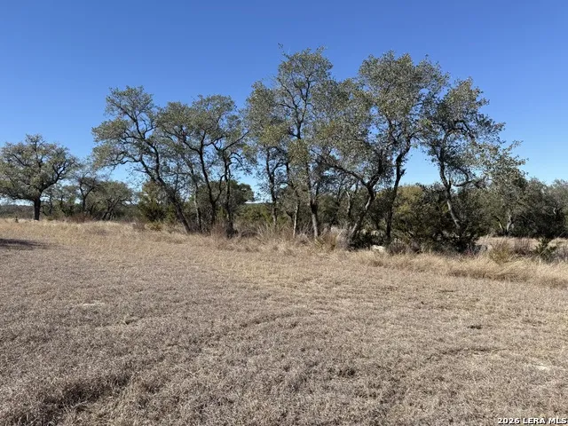 275 Rough Hollow Johnson City, TX 78636