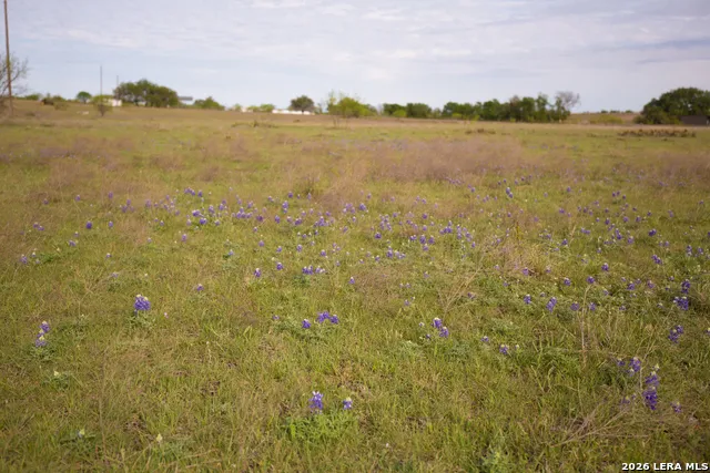 1843 Savanna Ridge Ranch Rd Lometa, TX 76853