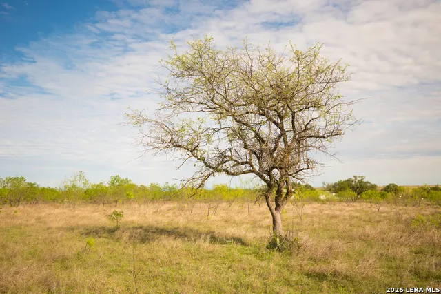 1843 Savanna Ridge Ranch Rd Lometa, TX 76853