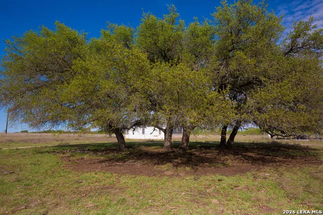 1843 Savanna Ridge Ranch Rd Lometa, TX 76853