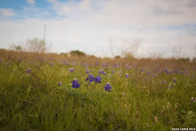 1843 Savanna Ridge Ranch Rd Lometa, TX 76853