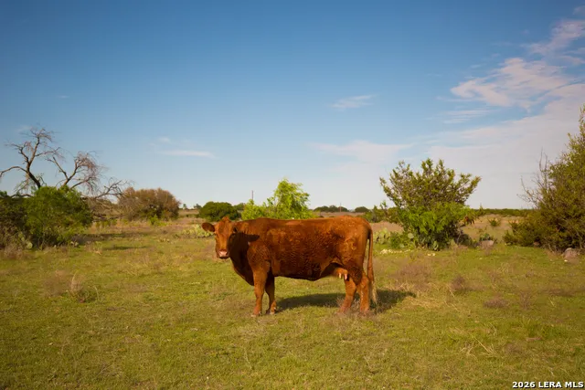 1843 Savanna Ridge Ranch Rd Lometa, TX 76853