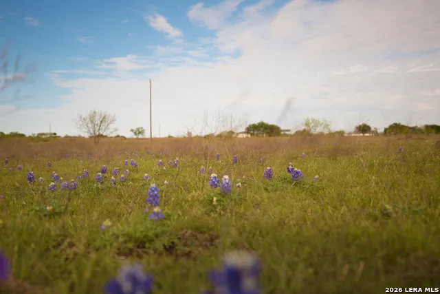 1843 Savanna Ridge Ranch Rd Lometa, TX 76853