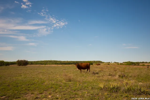 1843 Savanna Ridge Ranch Rd Lometa, TX 76853
