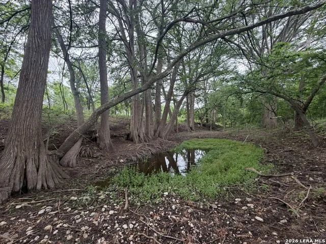 261 River Dr Rio Frio, TX 78879