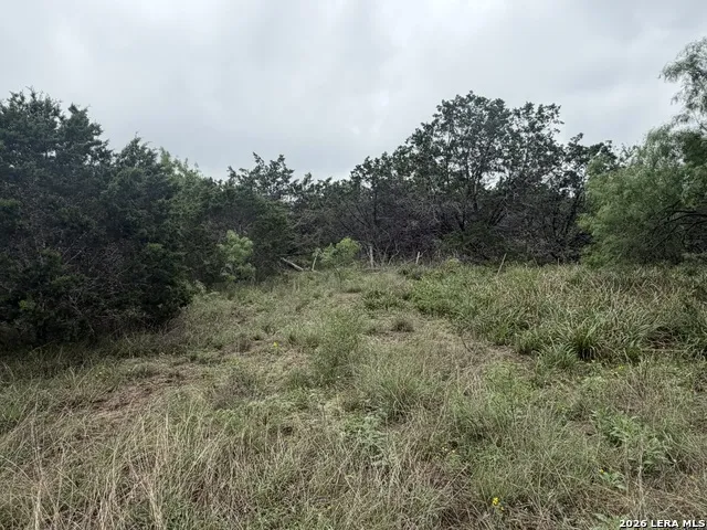 261 River Dr Rio Frio, TX 78879