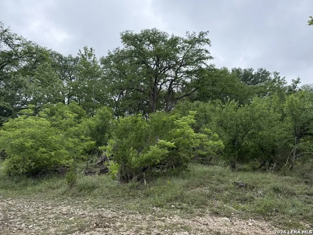261 River Dr Rio Frio, TX 78879