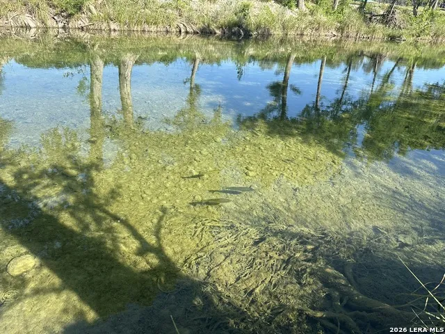 261 River Dr Rio Frio, TX 78879