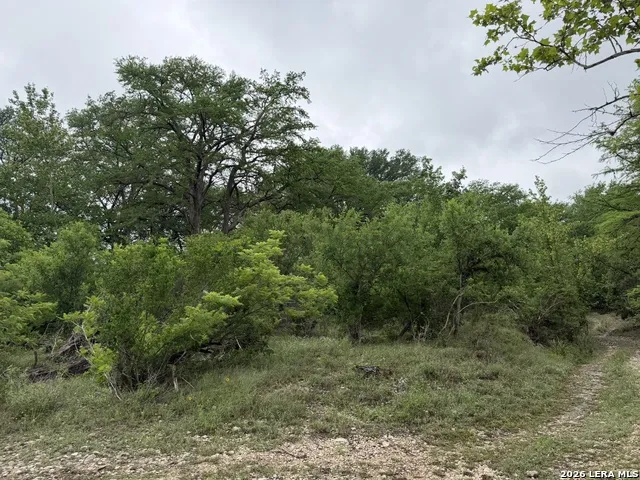 261 River Dr Rio Frio, TX 78879