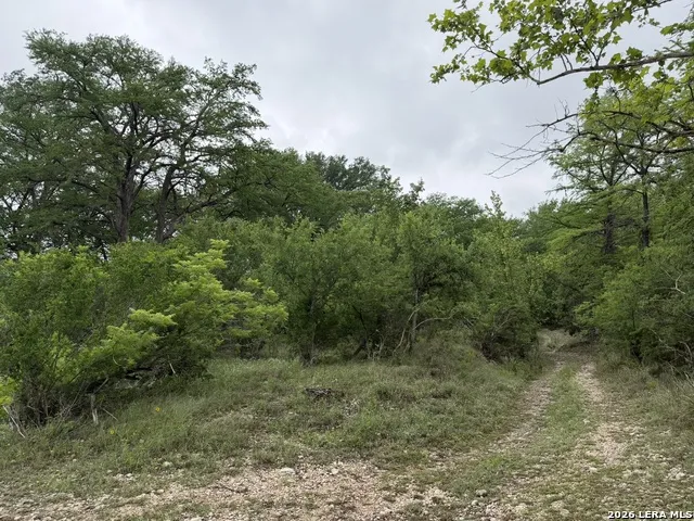 261 River Dr Rio Frio, TX 78879