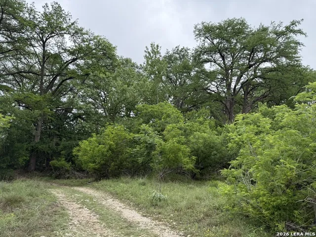 261 River Dr Rio Frio, TX 78879
