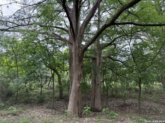 261 River Dr Rio Frio, TX 78879